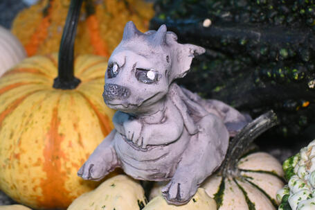 Adopt-a-Gargoyle